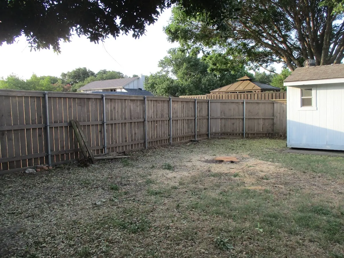 Cleared yard after professional tree removal in Tunkhannock